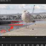 【文字化け解消】adobe premiere proでテロップの文字化けを解消する方法